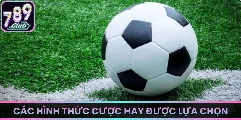 Các hình thức cược hay được lựa chọn