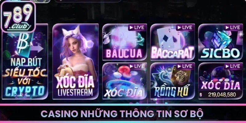 Casino và những thông tin sơ bộ về sảnh giải trí